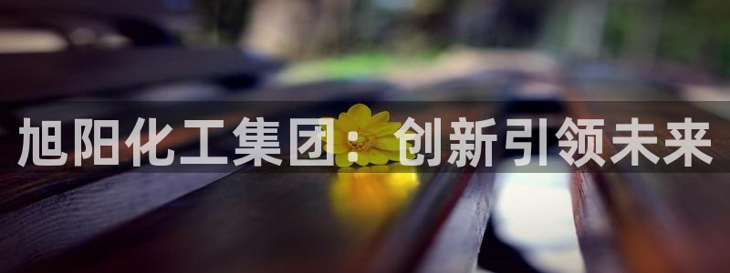 球盟会qmh - 球盟会官方网站：旭阳化工集团：创新引领未来