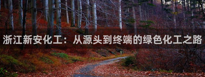 球盟会黑钱：浙江新安化工：从源头到终端的绿色化工之路