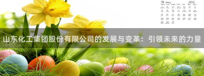 球盟会官网登录入口：山东化工集团股份有限公司的发展与变革：引