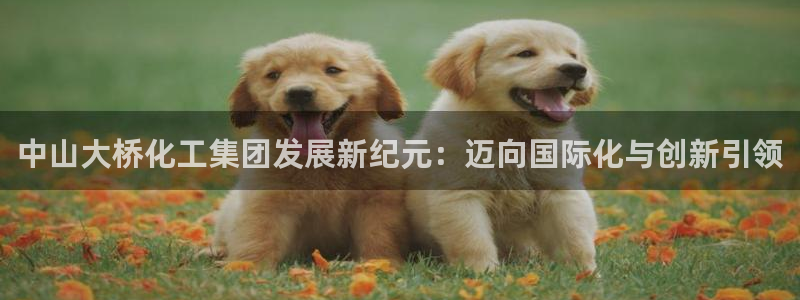 球盟会平台怎么样：中山大桥化工集团发展新纪元：迈向国际化与创