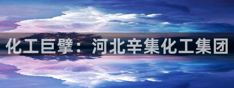 球盟会黑：化工巨擘：河北辛集化工集团