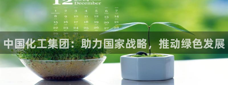 球盟会唯一：中国化工集团：助力国家战略，推动绿色发展