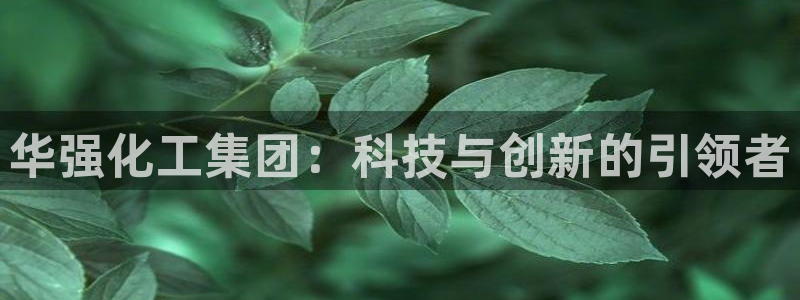 球盟会最新地址备用：华强化工集团：科技与创新的引领者