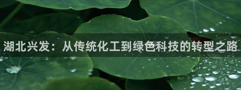 球盟会地址：湖北兴发：从传统化工到绿色科技的转型之路