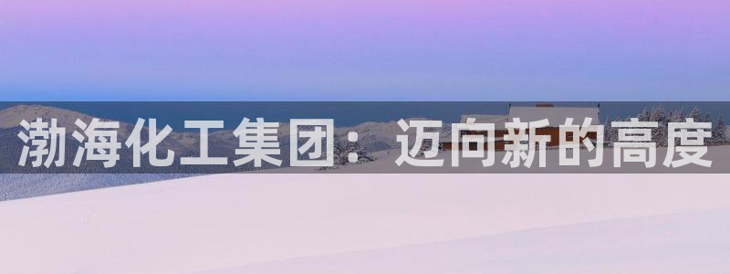 球盟会登陆入口：渤海化工集团：迈向新的高度