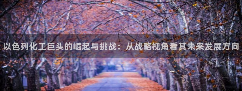球盟会官方最新入口：以色列化工巨头的崛起与挑战：从战略视角看