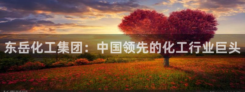 球盟会游戏几点玩合适：东岳化工集团：中国领先的化工行业巨头