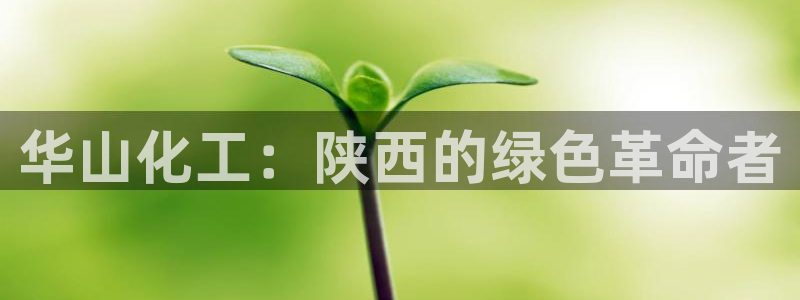 球盟会app最新地址在哪看：华山化工：陕西的绿色革命者