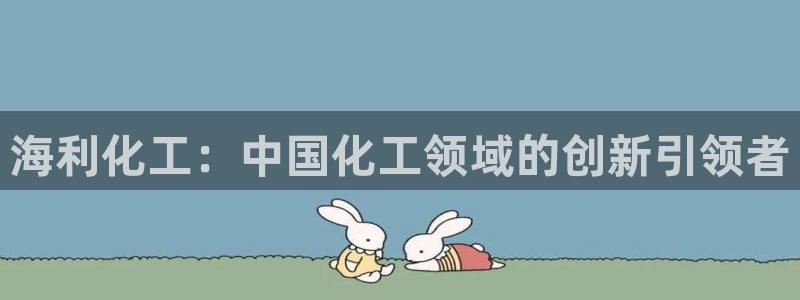 球盟会官方网入口：海利化工：中国化工领域的创新引领者