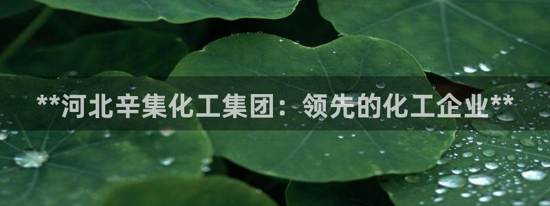 球盟会和中欧：**河北辛集化工集团：领先