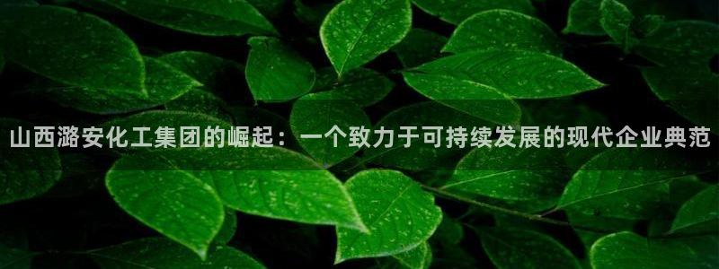 球盟会黑：山西潞安化工集团的崛起：一个致