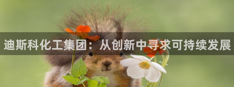 球盟会网页登录：迪斯科化工集团：从创新中