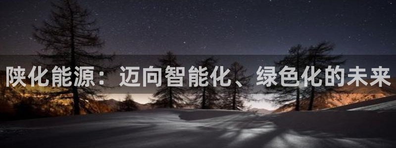 球盟会网页登录app下载地址：陕化能源：