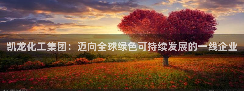 球盟会进不去：凯龙化工集团：迈向全球绿色