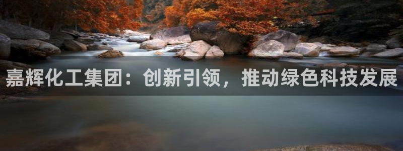 球盟会有限公司怎么样：嘉辉化工集团：创新