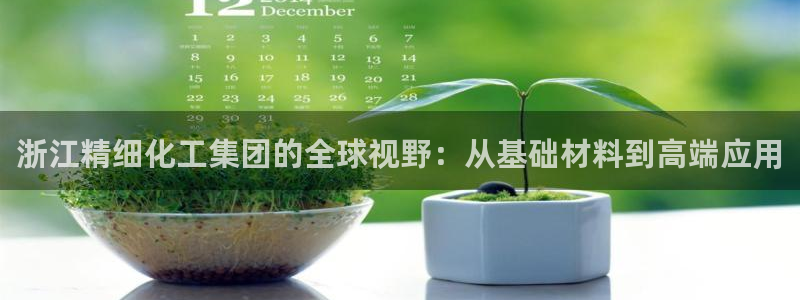球盟会封号：浙江精细化工集团的全球视野：