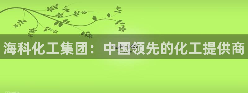 球盟会连接：海科化工集团：中国领先的化工