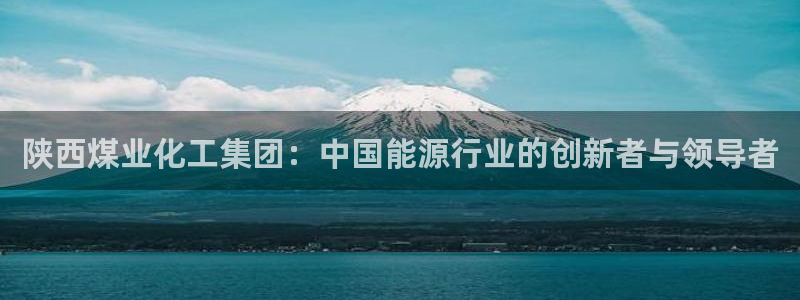 球盟会最新：陕西煤业化工集团：中国能源行
