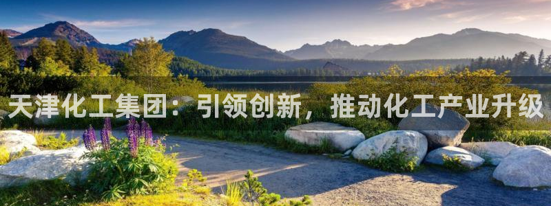 球盟会qm8597：天津化工集团：引领创