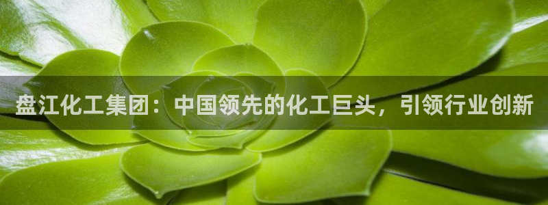 球盟会黑款吗还是白款：盘江化工集团：中国