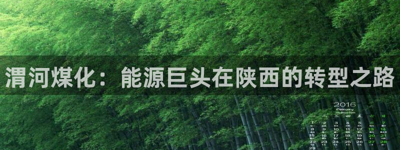 球盟会官方下载